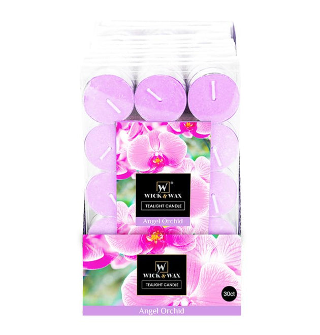 24OZ IN-WASH SCENT BOOSTER LAVENDER-12