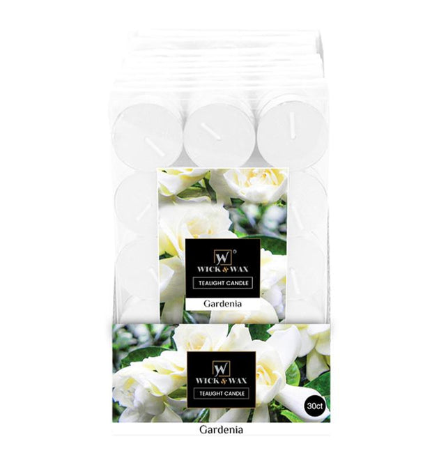 24OZ IN-WASH SCENT BOOSTER MOUNTAIN BREEZE-12